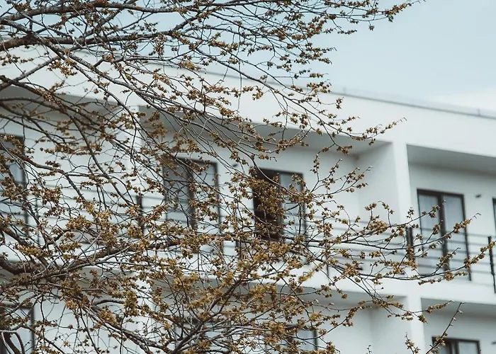 Oe Seaside & Kuressaare